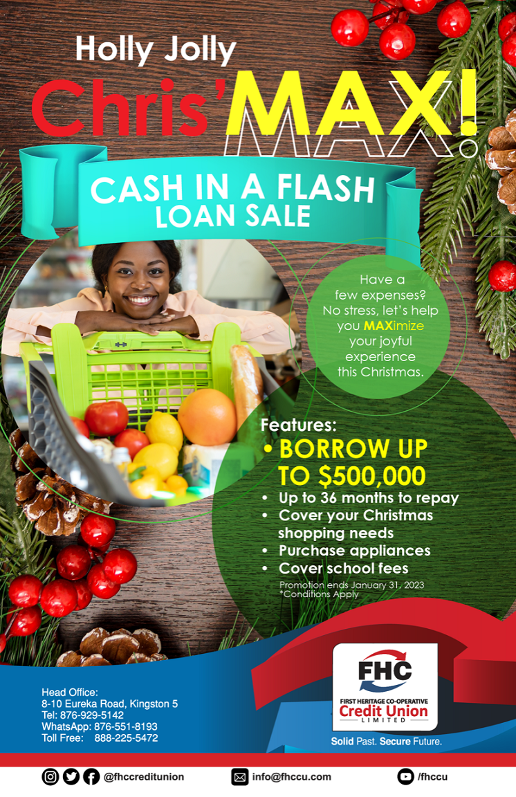 Cash In A Flash Loan FLyer